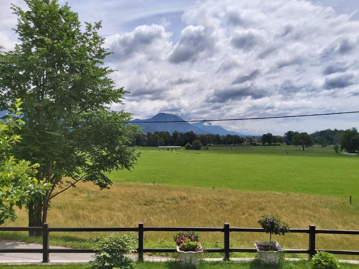 Apartma Arnez Bled Eksteriør billede