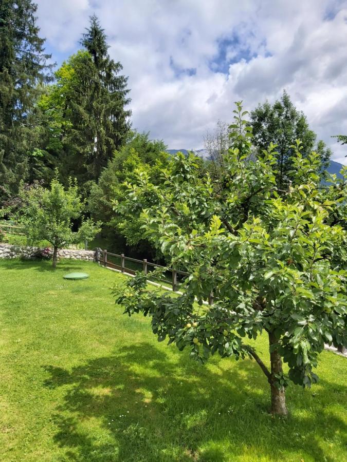Apartma Arnez Bled Eksteriør billede